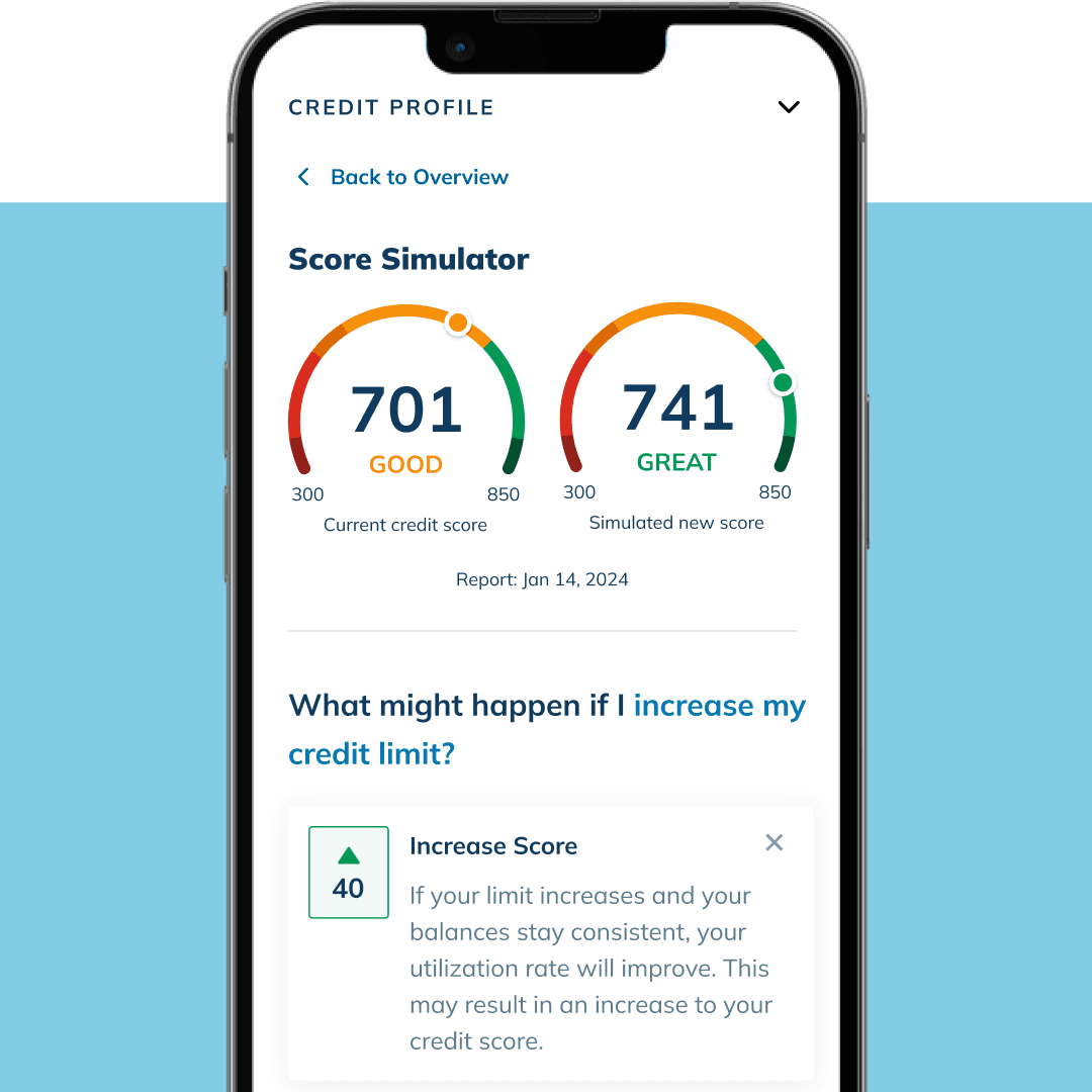 Mobile App - Credit Score Image