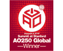 2010 AlwaysOn Global 250